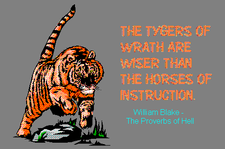 a wrathful tyger!