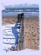 Aberdeen beach - Feb 2004
