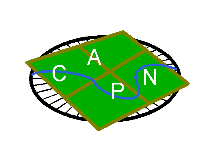 CAPN CAN