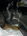 Click Here.....I was devestated when I got to see this the night of the accident 