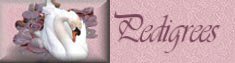 View our dogs Pedigrees