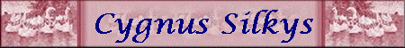 Cygnus Silkys