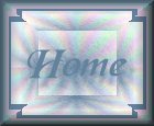 Home button