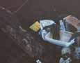 A chipmunk by the trash