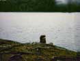 My head sitting by the lake