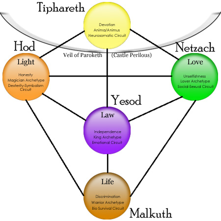 Lower half of Tree of Life
