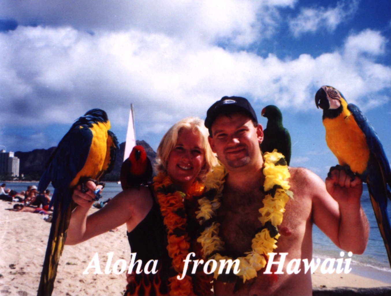 Aloha!