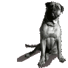  (16550 bytes)