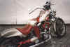 dream bike.jpg (64146 bytes)