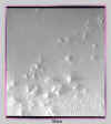 mars1.jpg (5423 bytes)