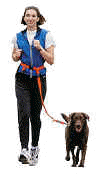 womdogrun.jpg (19619 bytes)
