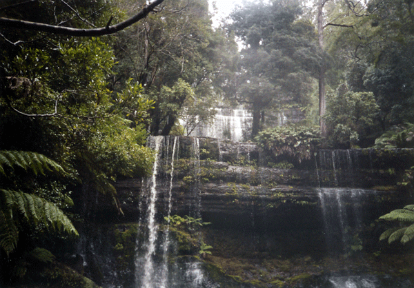 MTFIELDFALLS