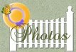 My Pictures