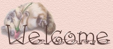 This is a cat.