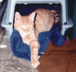 T.C. lounging.