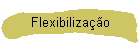 Flexibiliza��o