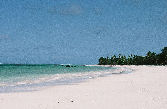 Zanzibari beach