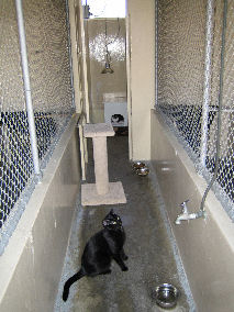 Pen 121 at quarantine