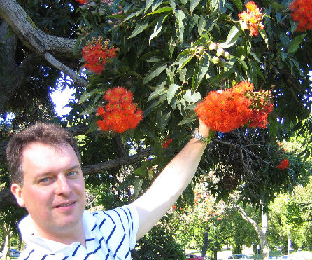 Chris and gum tree flowers