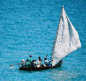Dhow sailing