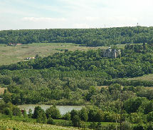 Chateau de Boursault in the distance