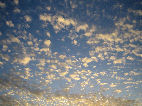 Kew cotton sky 17/01/06