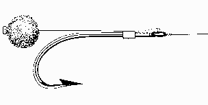 Picture of hair rig