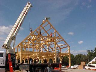 The traditional pine bough