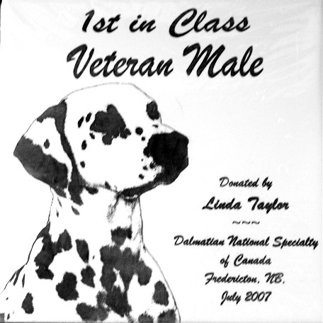 veteran Male