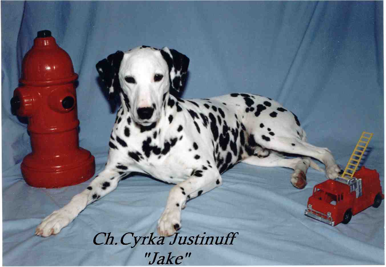 Cyrka's Justinuff