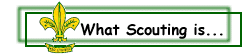 What is Scouting all about..
