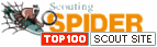 This is a TOP100 Scout Site