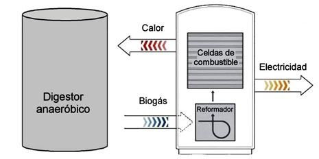 Esquema del proceso biog�s