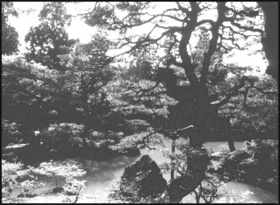 Ogrod przy Ginkakuji.
