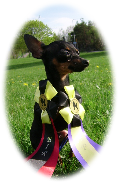 ocko - Kviberg - 20070501 - Inoff - V�ppen
