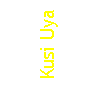 Cuadro de texto: Kusi Uya
