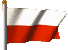 Polish/American Flag