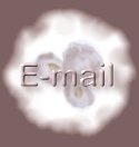 E-mail"