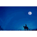 Moonlight Shadow