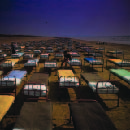 A Momentary Lapse Of Reason