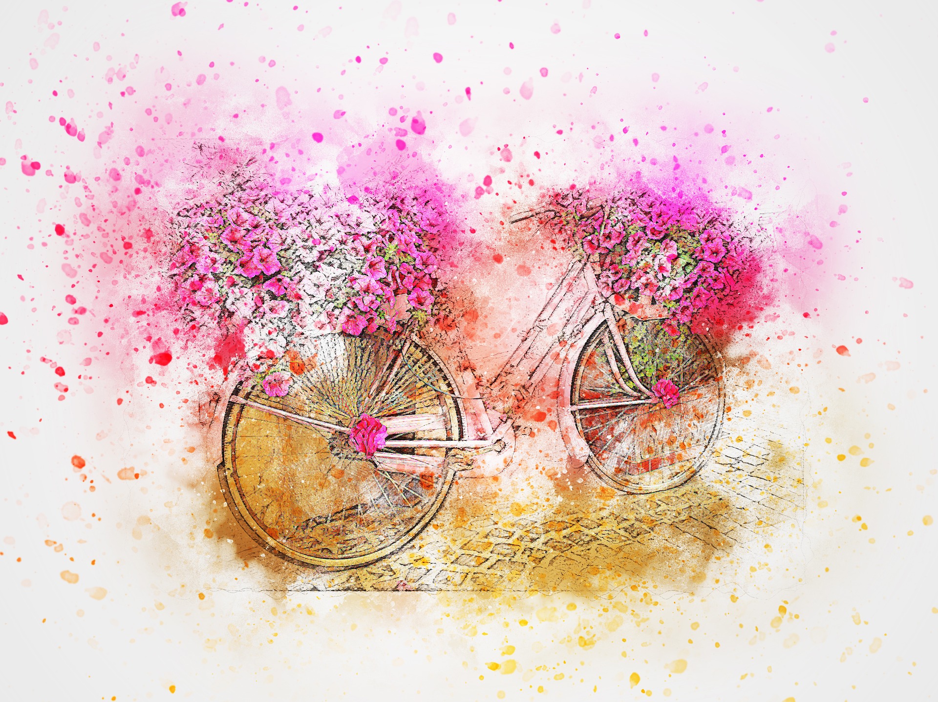 bicycle