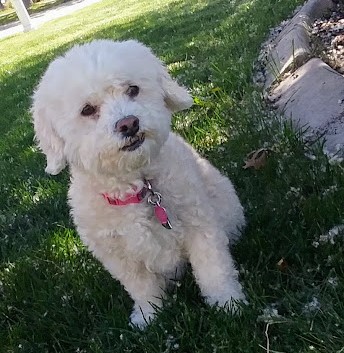Bella