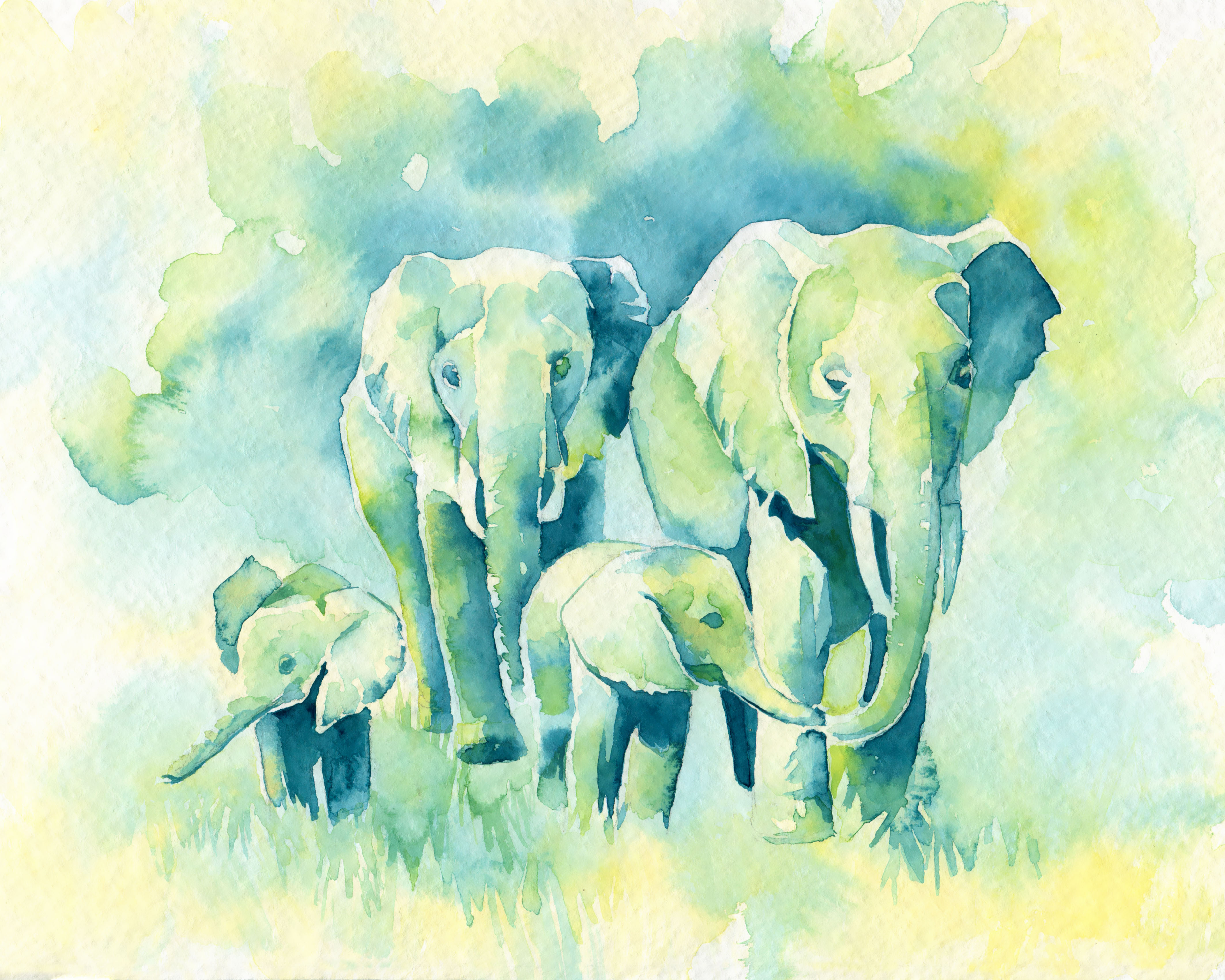 elephants