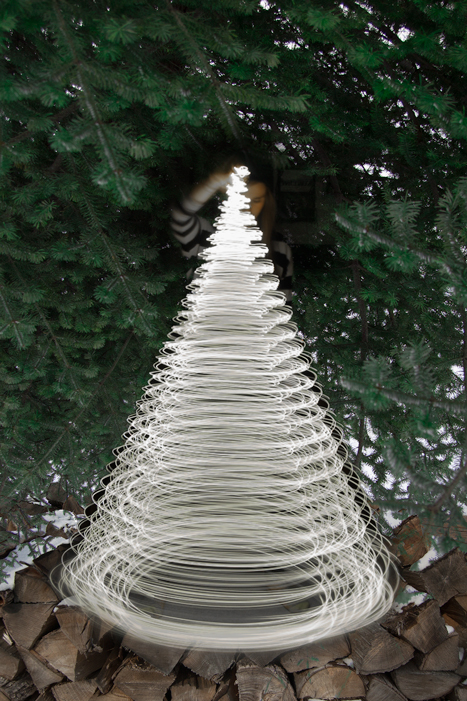 pinetreelight