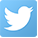 twitter logo