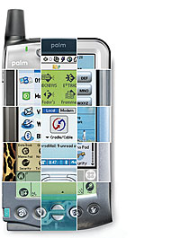 Palm 10 yrs anniversary