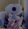 my webcam