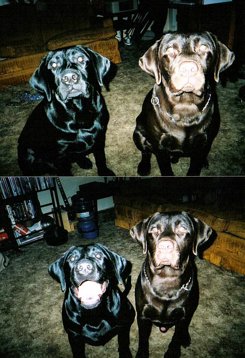 This photo will also take you back to our Main Page.