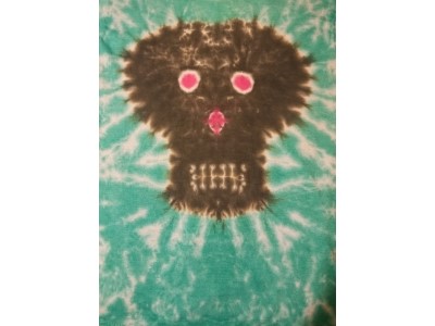 Black skull centered on the shirt.