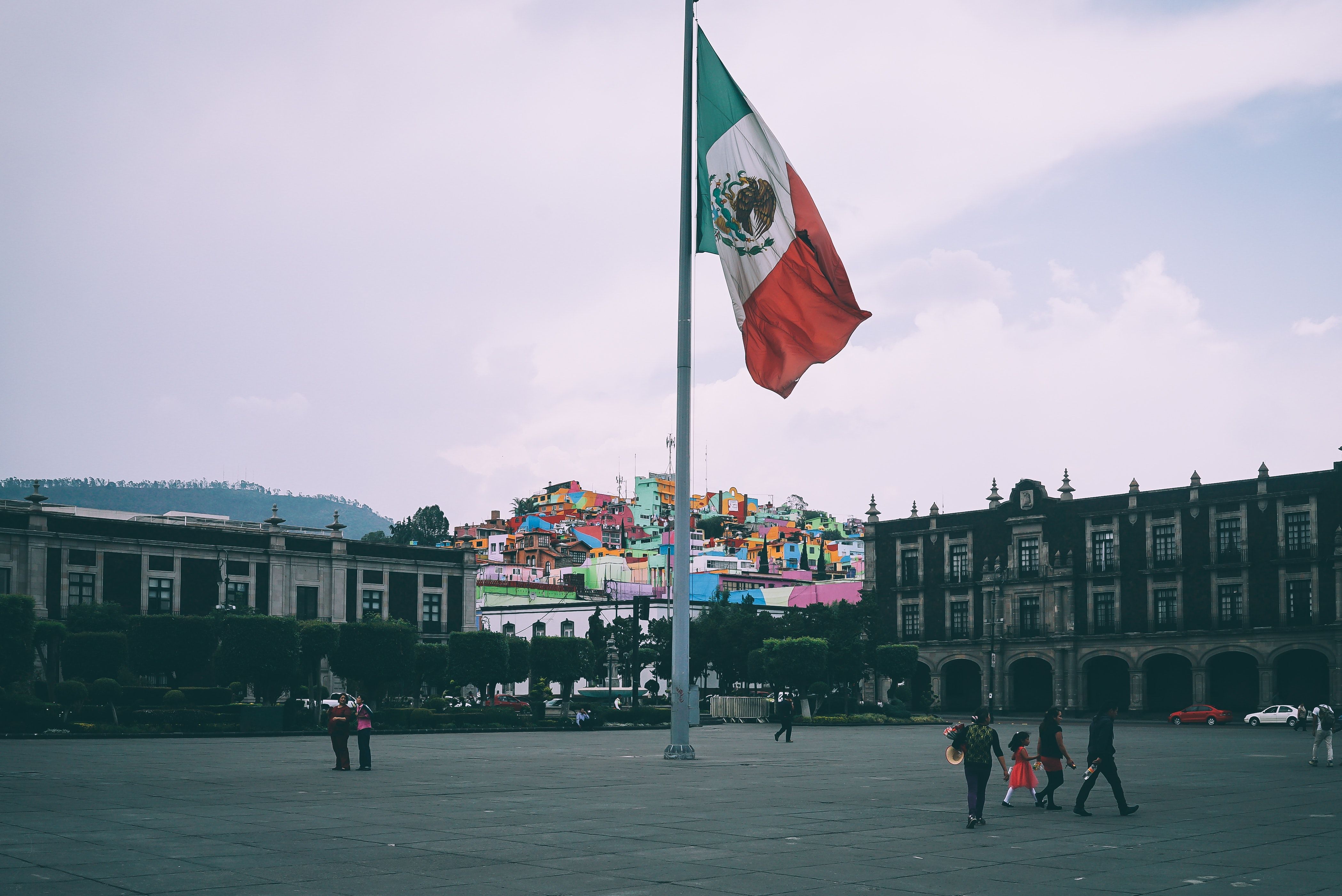 .flag_img